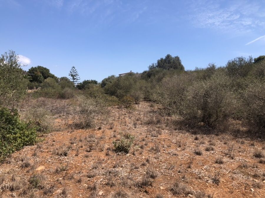 - Amplio solar de unos 820m2 en una tranquila calle en Cala LLombards