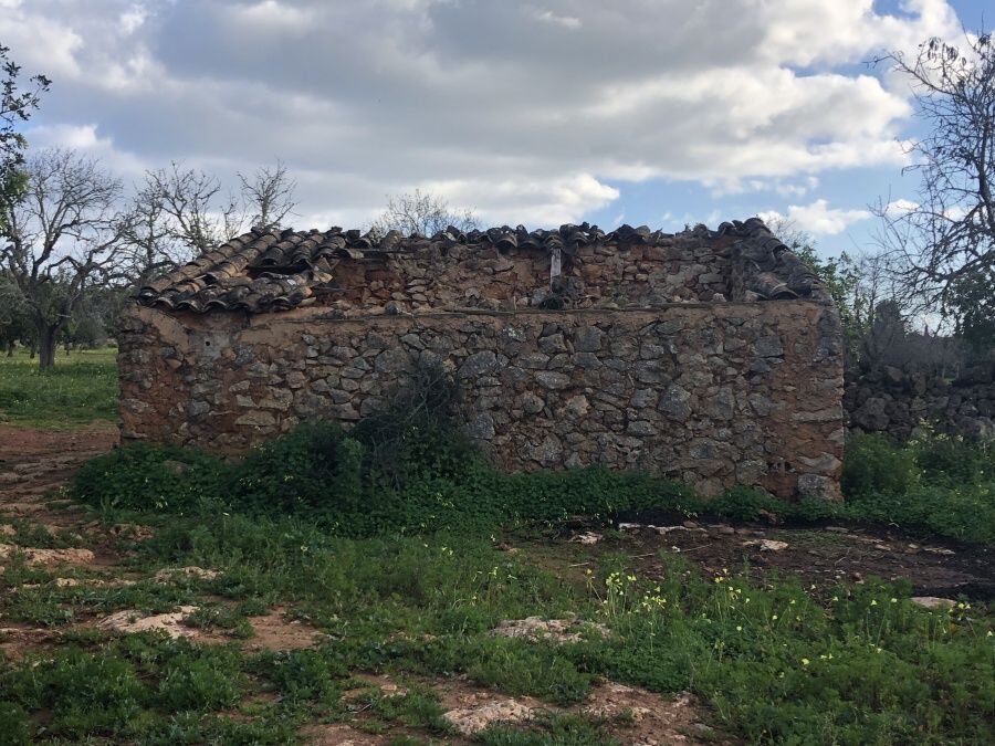 - Pozemek velmi dobře umístěný mezi Santanyi a Cas Concos