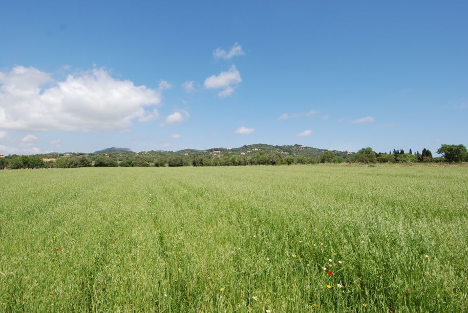 - Plot with beautiful views to the sea between Santanyí and S`Alqueria Blanca