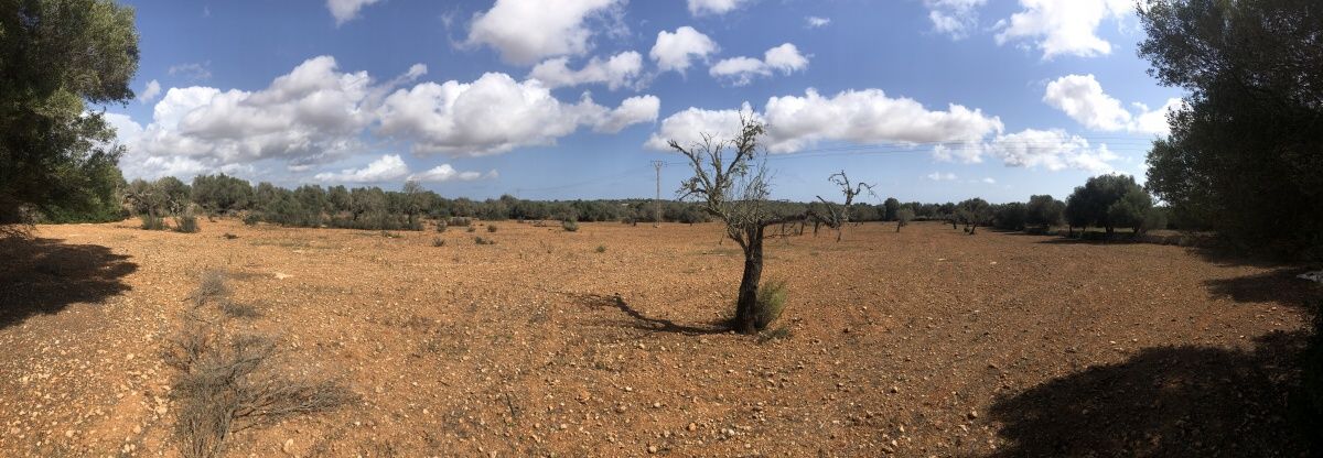 - Plot on the outskirts of Ses Salines
