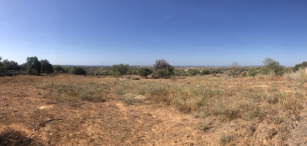 - Plot between Santanyi and Cas Concos with beautiful panoramic views to the sea