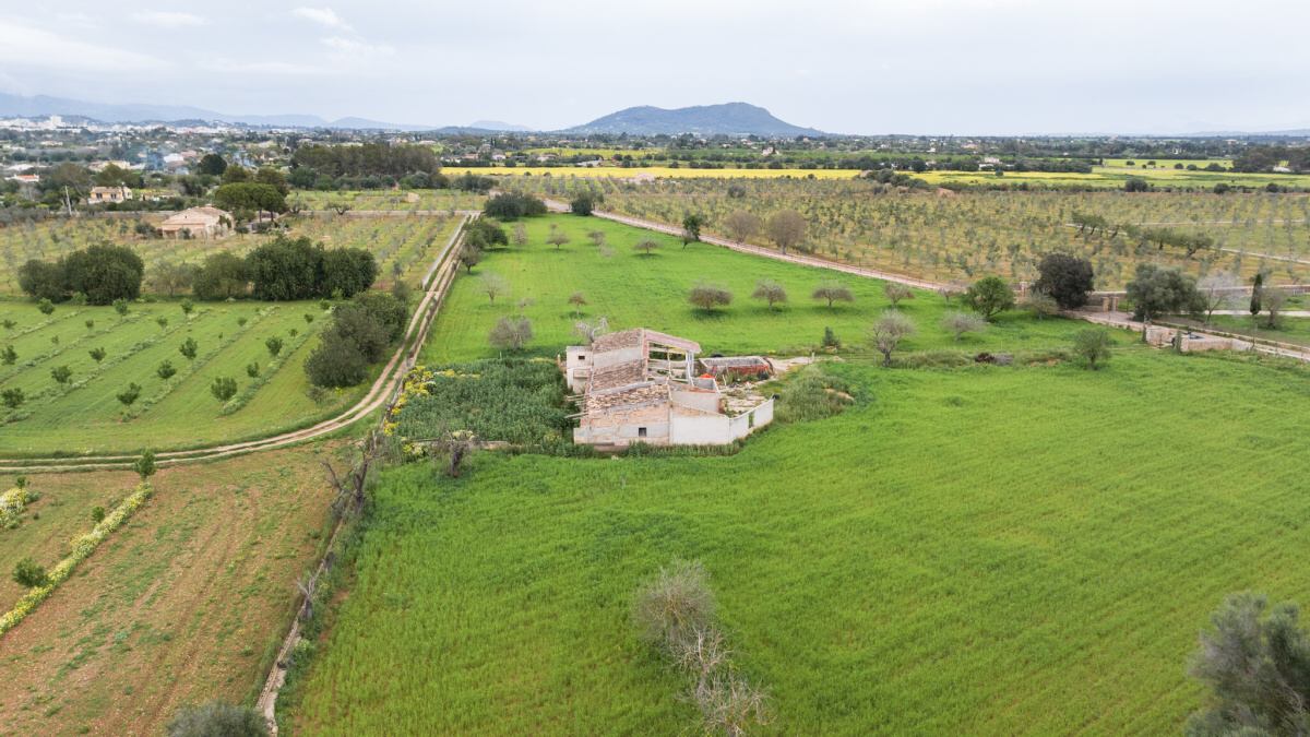 - Large plot in Binissalem with the possibility of building about 430m2