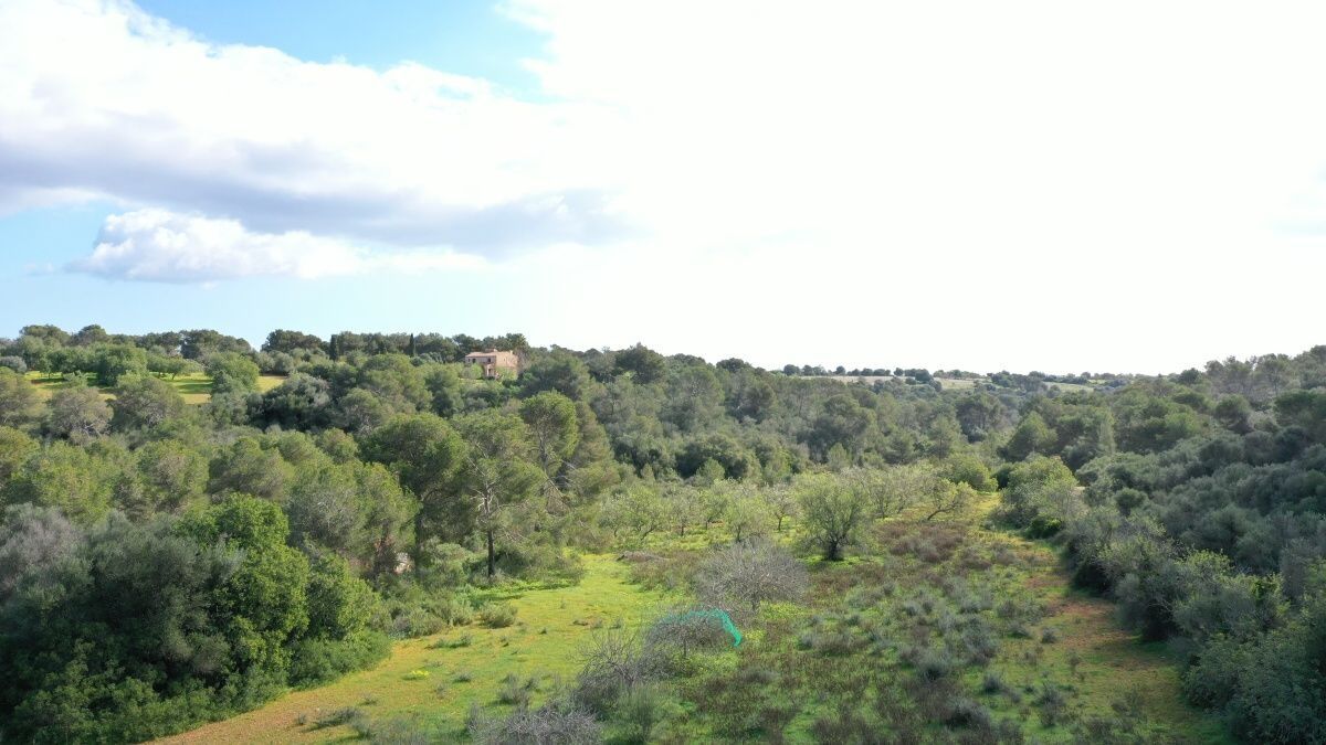 - Rustic plot 5 minutes from Porto Petro
