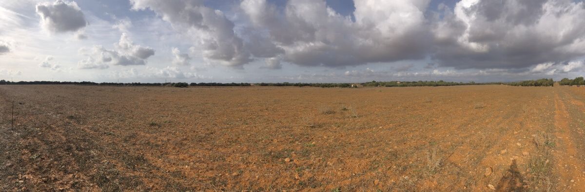 - Large plot with beautiful construction project of a Finca in Campos
