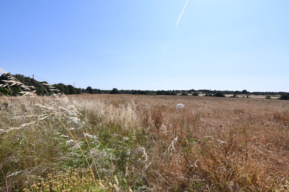 - Plot with an existing building of 240m2 on the outskirts of Ses Salines