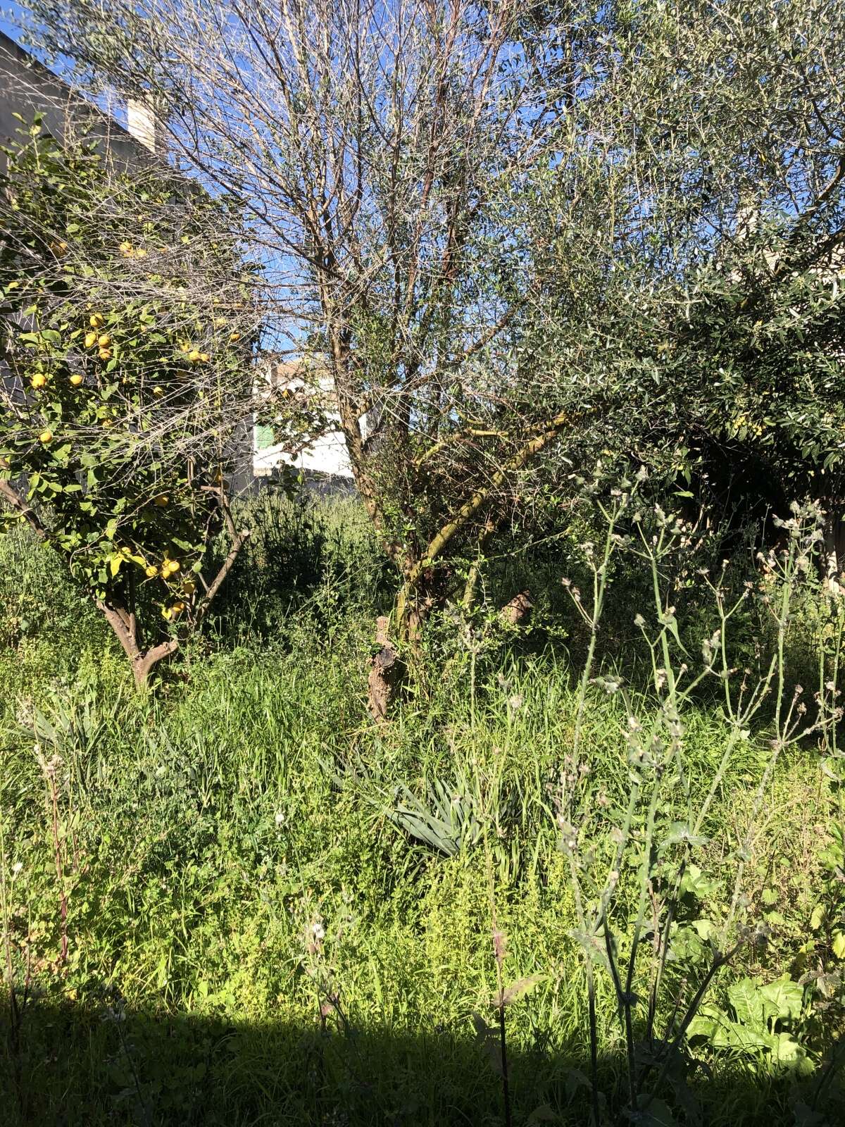 Interesting plot with possibility of building 2 houses in Campos
