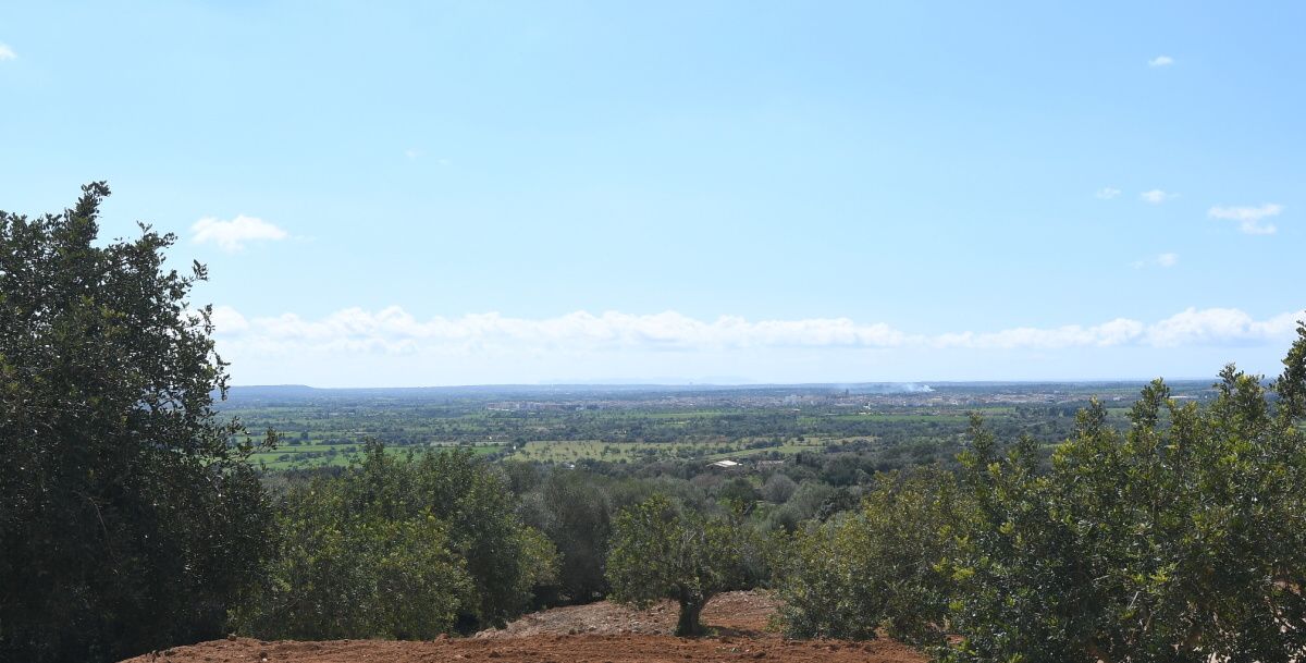  - Magnifica parcela en Manacor con vistas panorámicas hasta la bahía de Alcudia