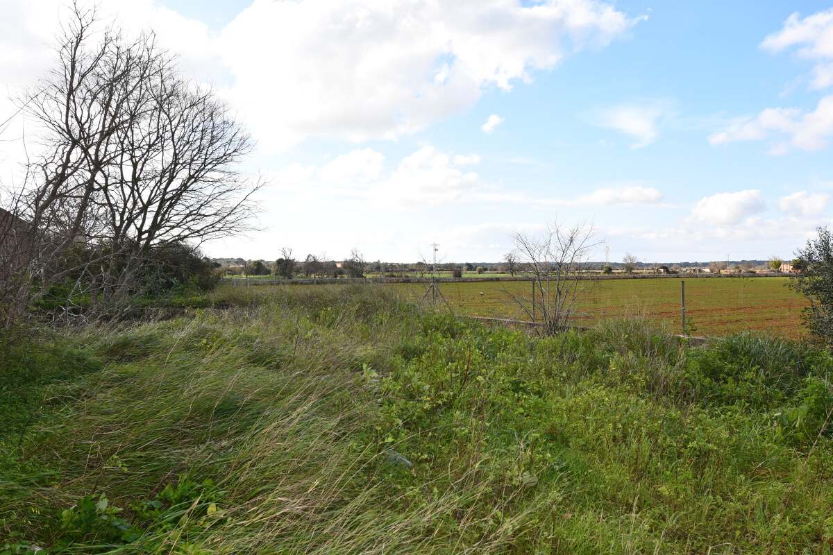  - Stadtgrundstück von 387m2 mit vielen Möglichkeiten in Santanyi