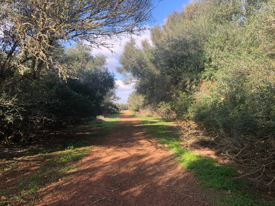 - Amplia parcela con bonito proyecto de construcción de una casa de campo en Campos