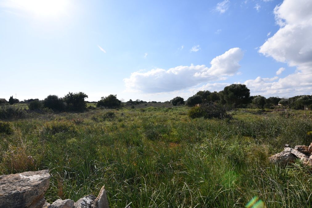  - Nice plot very well located between Santanyi and Cala Figuera