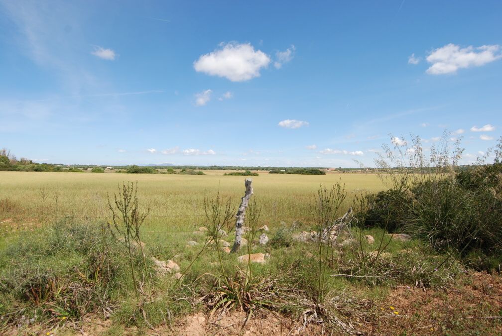  - Terreno rústico con licencia de construcción situado a 800 mts de Ses Salines