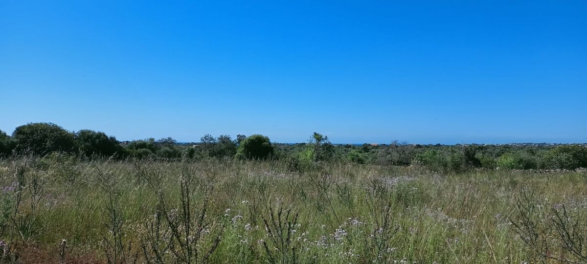  - Grundstück mit Grundprojekt und Blick auf das Meer zwischen Santanyi und Cala Figuera