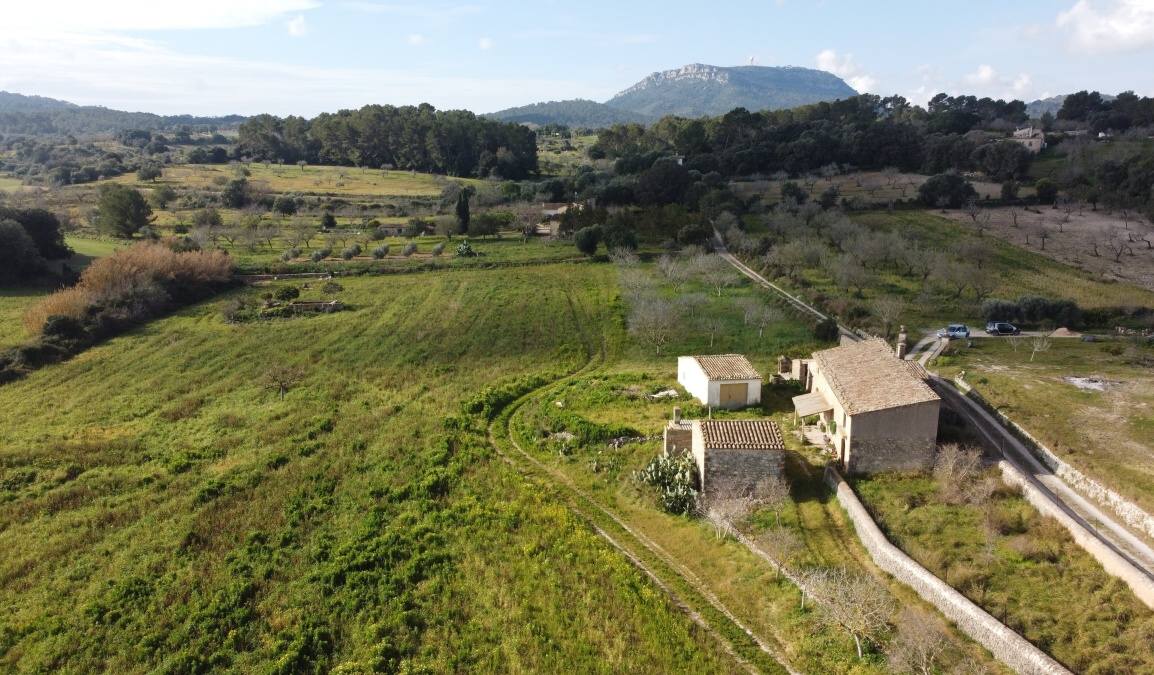 - Casa de campo con muchas posibilidades para reformar con licencia de construcción en una tranquila parcela en Algaida
