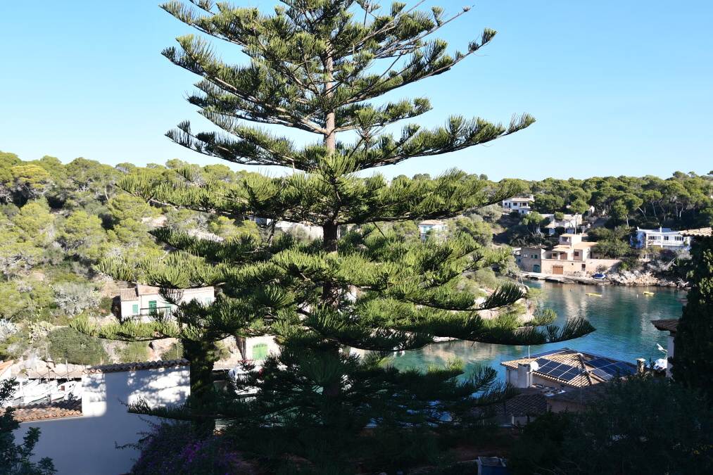  - Spacious ground floor apartment with sea views and garage in Cala Figuera