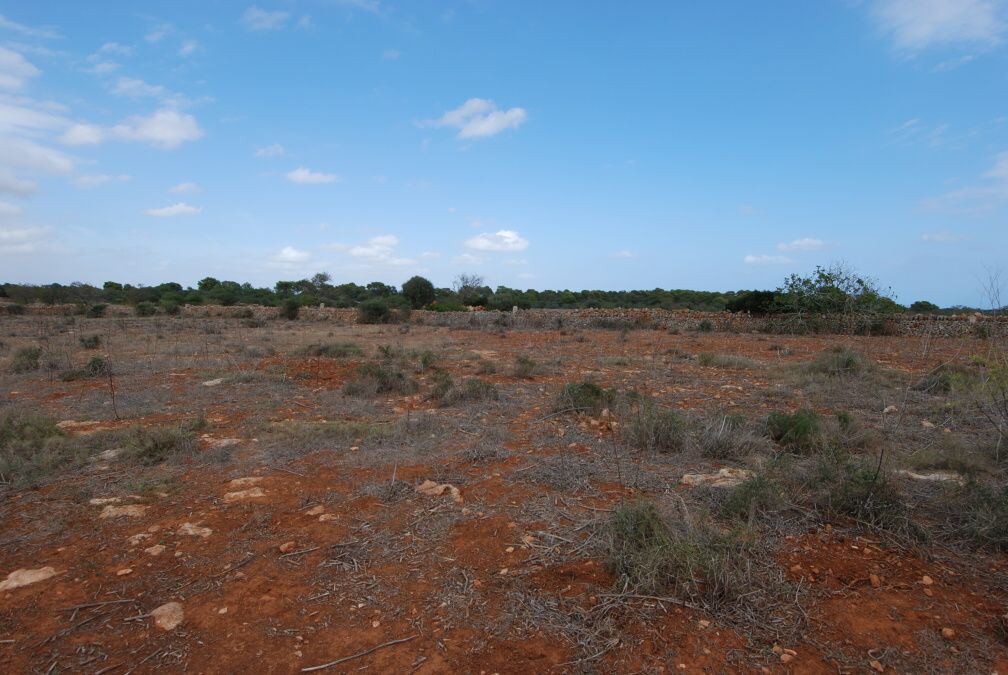  - Plot located between Ses Salines and Santanyi