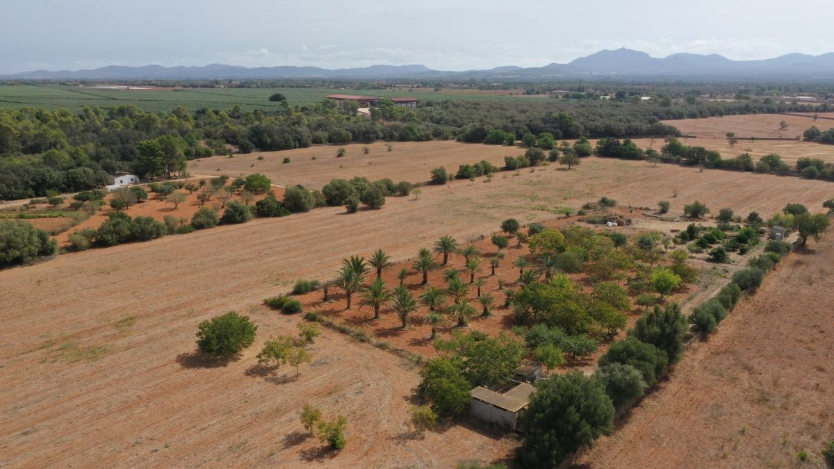  - Großes Grundstück mit Baugenehmigung und Wasser in Son Mesquida, Felanitx