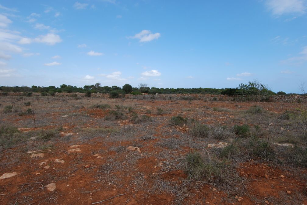  - Beautiful plot of about 14.000m2 with license to build in Campos