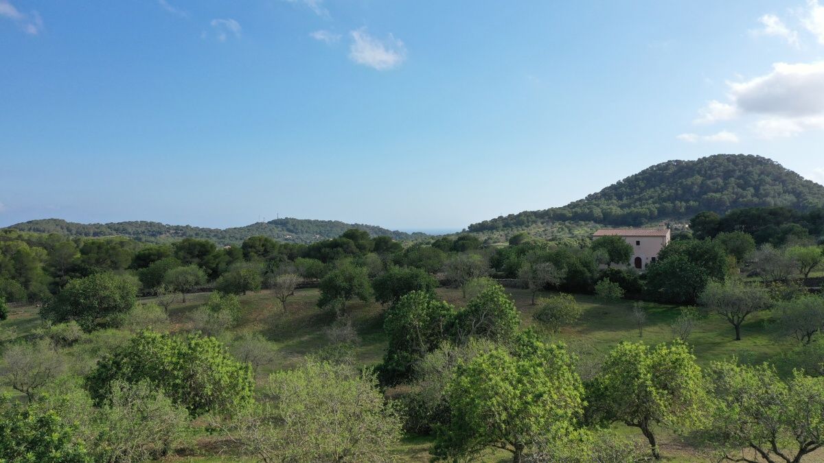  - Grundstück mit schöner Aussicht in der Nähe von S`Horta