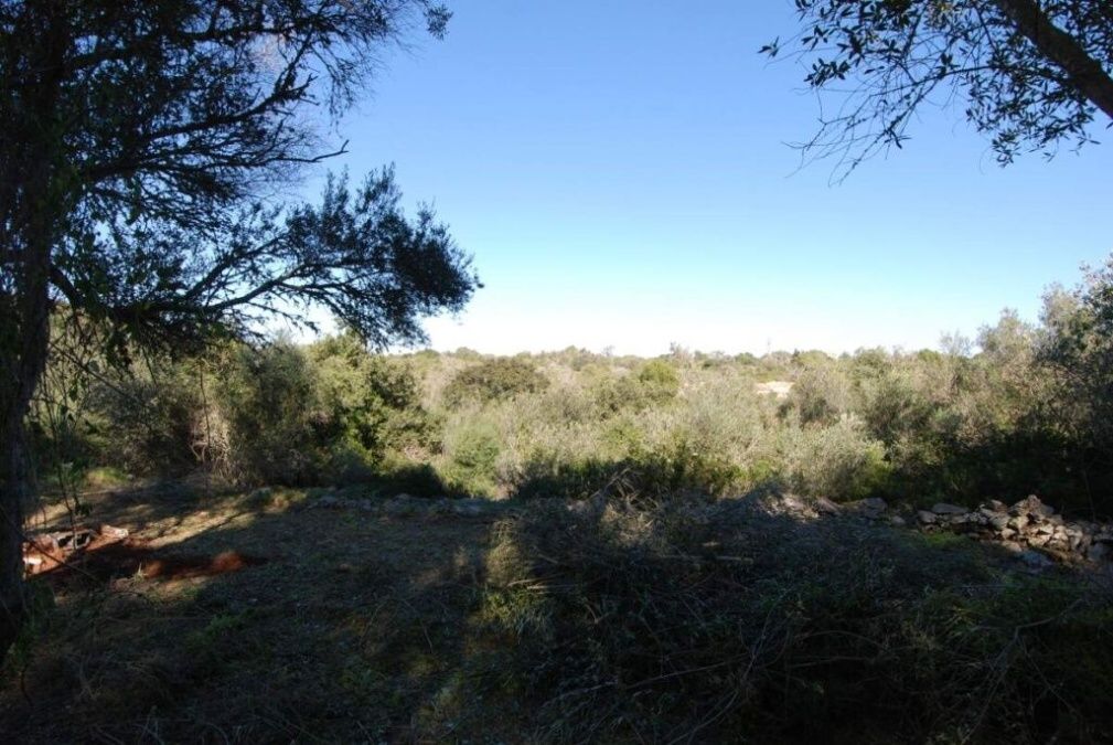  - Urban plot with open views in Cala Santanyi