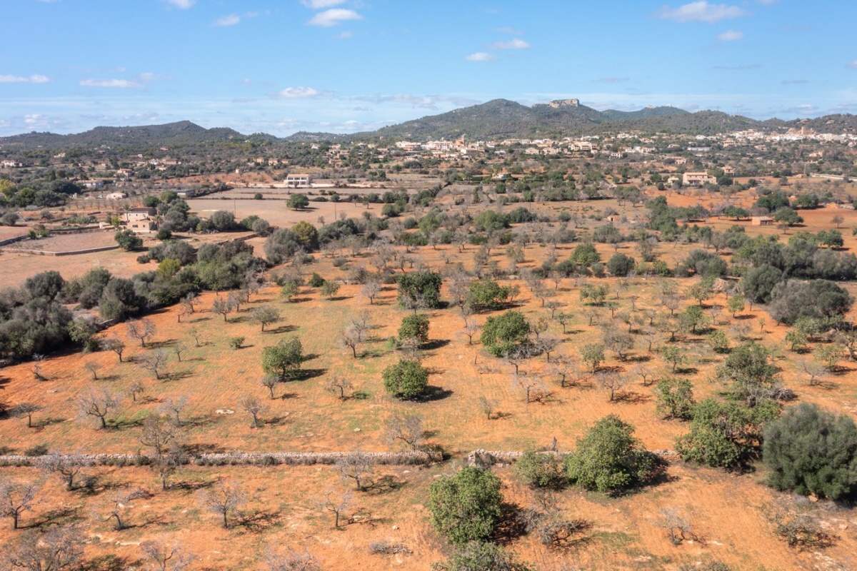  - Bonita parcela con proyecto basico situada entre Calonge y Cala D`Or