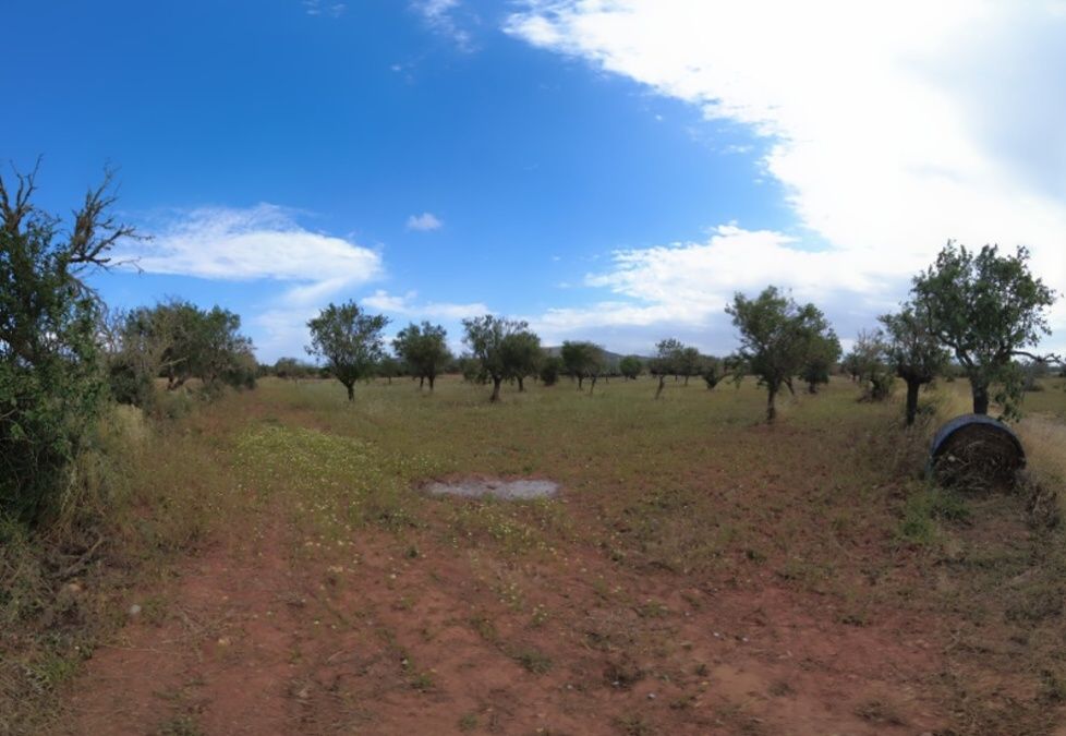  - Parcela entre Santanyí y Cas Concos situada a 1km de Santanyí