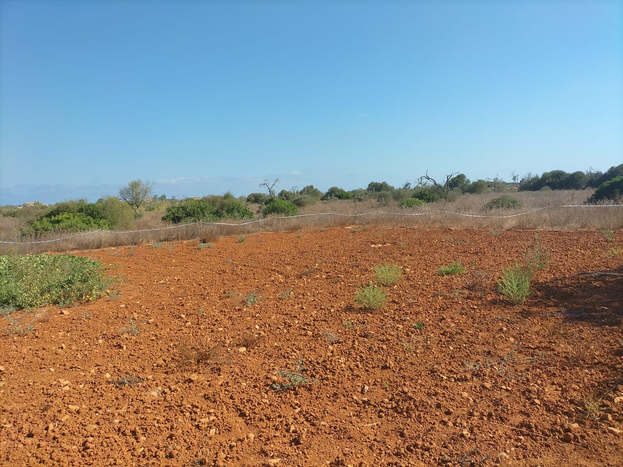 - Parcela con proyecto básico de unos 400m2 a pocos minutos de Es LLombards y Cala S`almunia