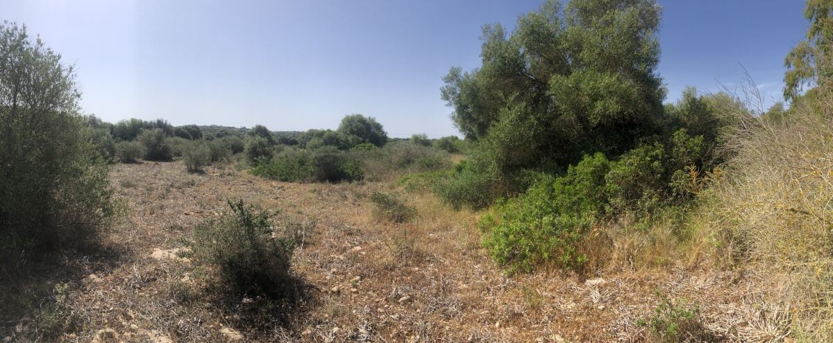 - Terreno rustico muy bien ubicado a pocos minutos de Ses Salines