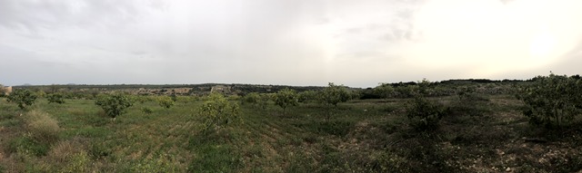  - Bonito terrenos rustico con vistas abiertas en las afueras de Ariany