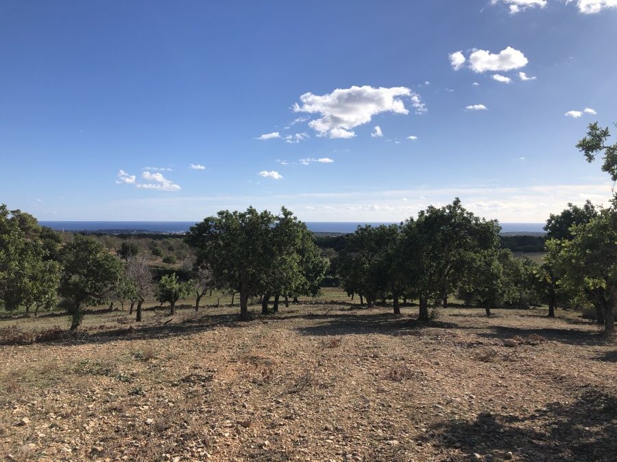  - Grundstück mit Panoramablick auf das Meer, mit Lizenz, Stromversorgung auf einem erhöhten Grundstück in der Nähe von S`Horta