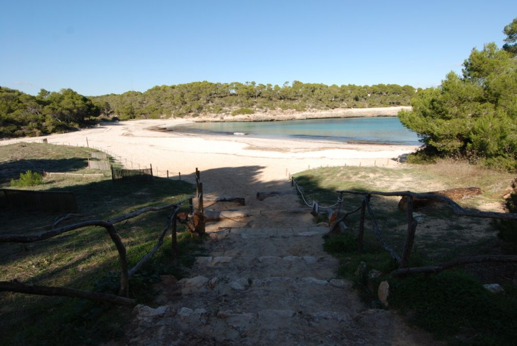 - Bonito solar de unos 600m2 con una edificación existente y con licencia para reformar muy cerca de la playa de S`Amarador