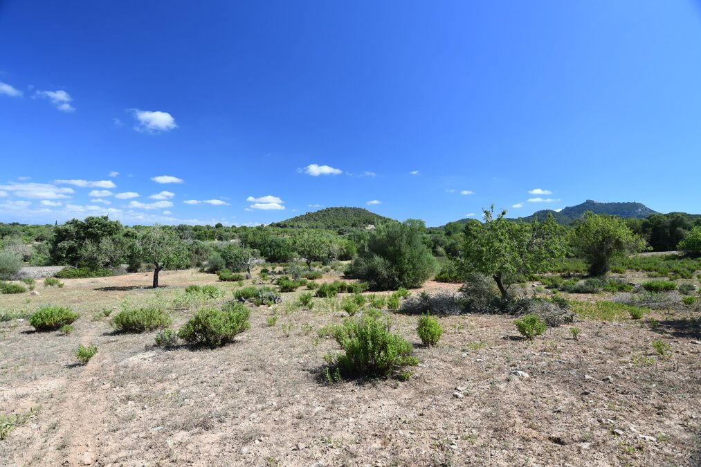  - Beautiful hillside plot with panoramic views near Cas Concos - Es Carritxo
