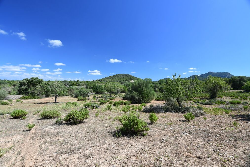  - Precioso terreno en una colina con vistas panorámicas cerca de Cas Concos - Es Carritxo