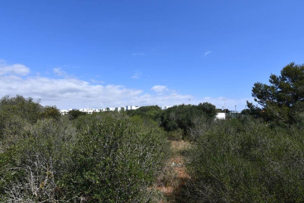  - Große Gewerbeparzelle mit vielen Möglichkeiten in Cala D`Or