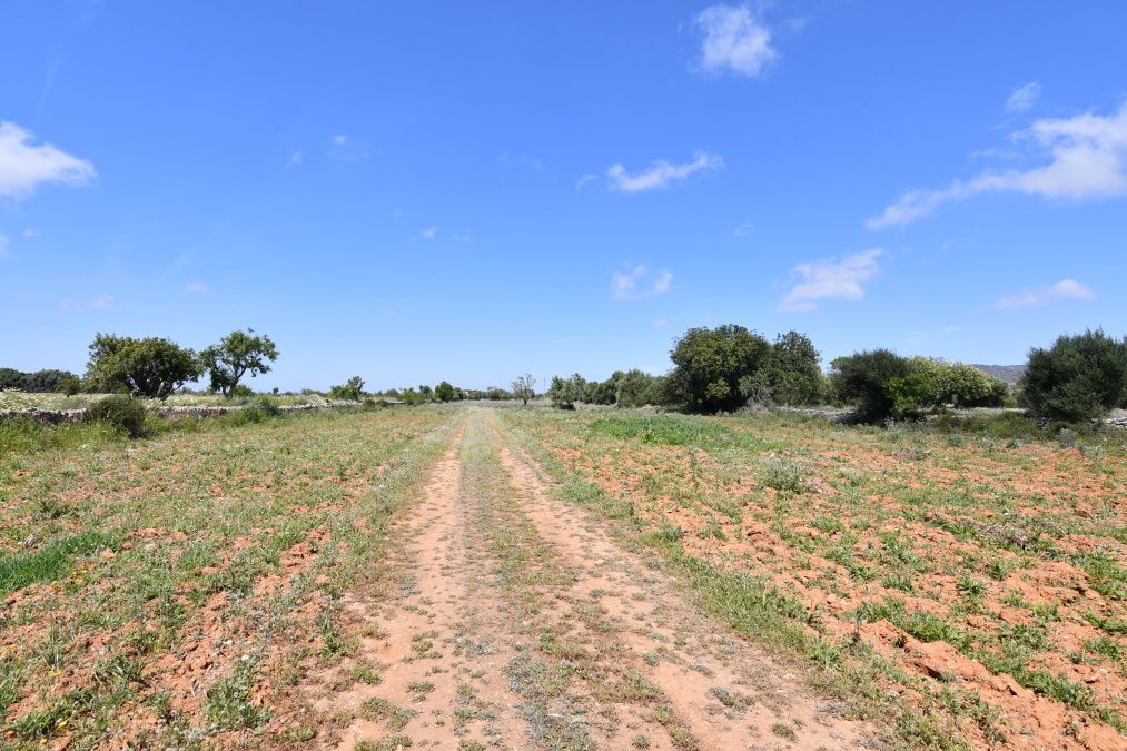  - Parcela con proyecto básico, electricidad y agua a tan solo 900mts de Santanyi