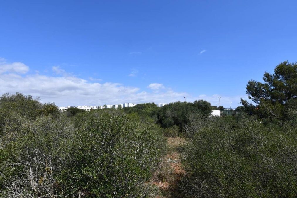  - Large commercial plot with many options in Cala D`Or